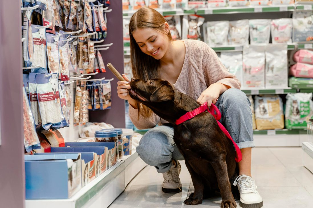 Modal Untuk Membuka Petshop. Sumber: freepik.com