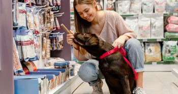 Modal Untuk Membuka Petshop. Sumber: freepik.com